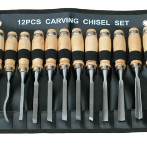 Tooline 12 Piece Carving Chisel Set
