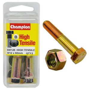 Champion 12 x 60 Bolt And Nut (B) - GR8.8