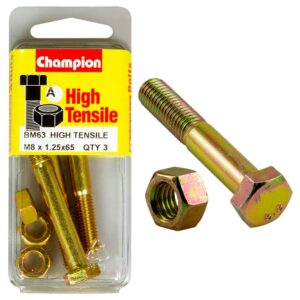 Champion M8 x 65 Bolt & Nut (A) - GR8.8