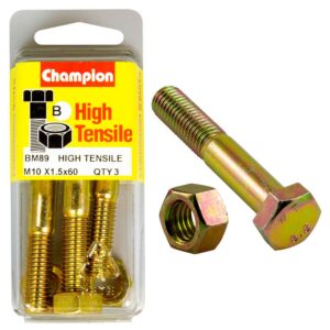 Champion M10 x 60 Bolt & Nut (B) - GR8.8