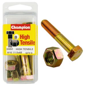 Champion 10 x 65 Bolt And Nut (B) - GR8.8