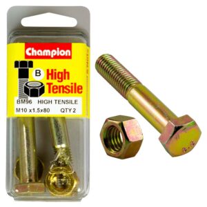 Champion M10 x 80 Bolt & Nut (B) - GR8.8