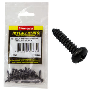 Champion 4.2 x 16mm Self Tapping Screw Pan Head Ph -30pk