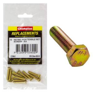 Champion M5 x 25mm x 0.8 Set Screw -Gr.8.8 -10pk