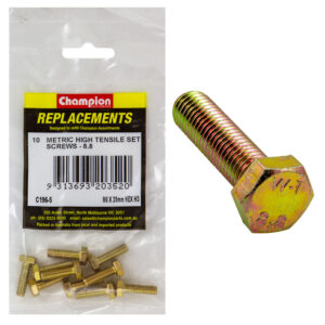 Champion M6 x 20mm x 1.00 Set Screw -Gr.8.8 -10pk