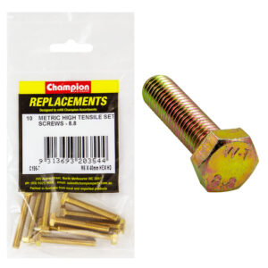 Champion M6 x 40mm x 1.00 Set Screw -Gr.8.8 -10pk