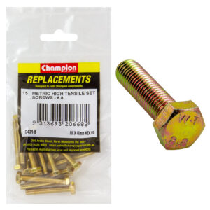 Champion M6 x 40mm x 1.00 Set Screw -Gr8.8 -15pk
