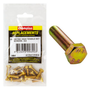 Champion M6 x 20mm x 1.00 Set Screw -Gr8.8 -20pk