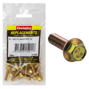 Champion M6 x 25mm Flange Head Set Screw -Gr8.8 -20pk