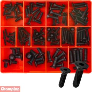 Champion 124pc Metric CSK Socket Head Cap Screw Assortment