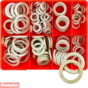 Champion 123pc 3mm Polypropylene Washer Assortment