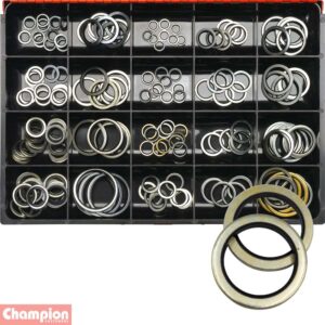 Champion Master Kit 173pc Bonded Seal (Dowty) Washer Asst