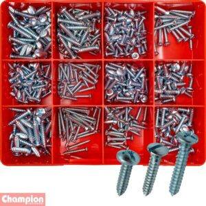 Champion 420pc Slotted Self Tapping Screw Assortment