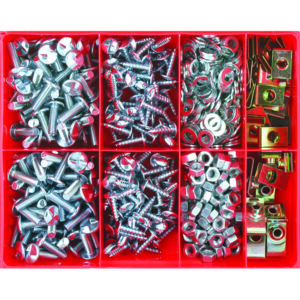 Champion 570pc Anti-Theft Screw Assortment