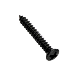 Champion 6G x 1in S/Tapping Screw Raised Head PH - 100pk