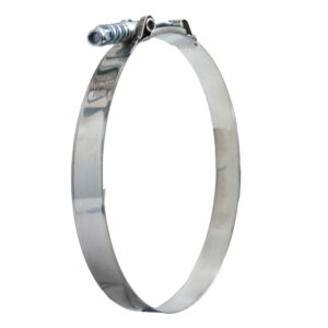 Global T-Bolt Clamp with Spring 19 165-173 mm W2 (Ea)