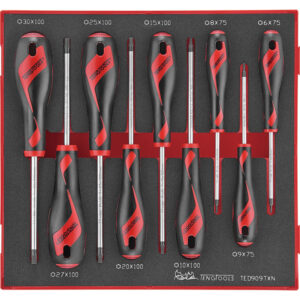 Teng 9pc MD TX Screwdriver Set 6-30 - TED-Tray