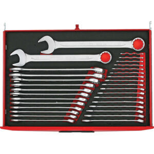 Teng 31pc Metric Combination Spanner Set (EVA)