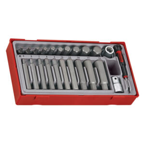 Teng 23pc Hex Bits Set 5-19Metric - TC-Tray