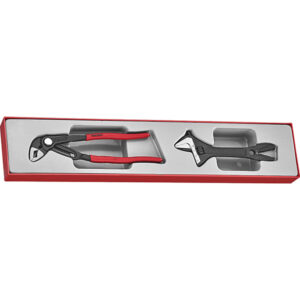 Teng 2pc Plier/Adjustable Wrench Set - TTX-Tray